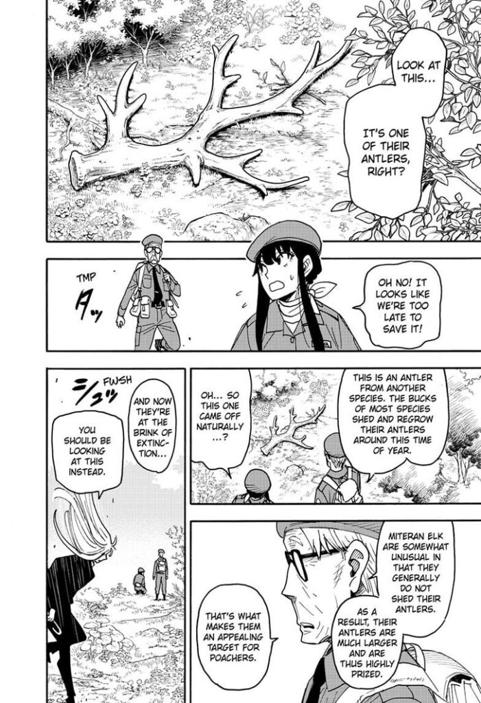 Spy x Family Chapter 116 spy_x_family_chapter_116_image_08