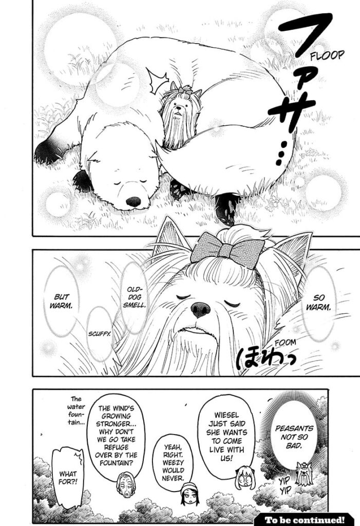 Spy x Family Chapter 140-5 spy-x-family_chapter_140_image_05